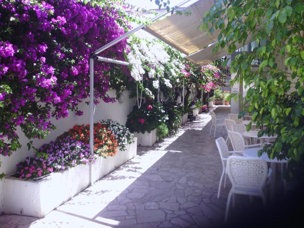 Zahrada ubytování Hotel Mayor