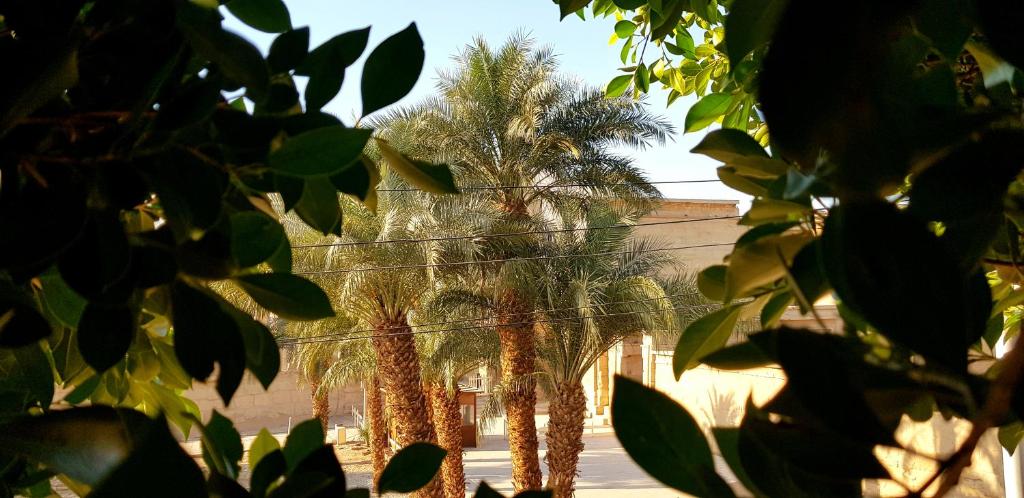 HabuHeritageHomeStayInLuxor - Appartement Avec Terrasse