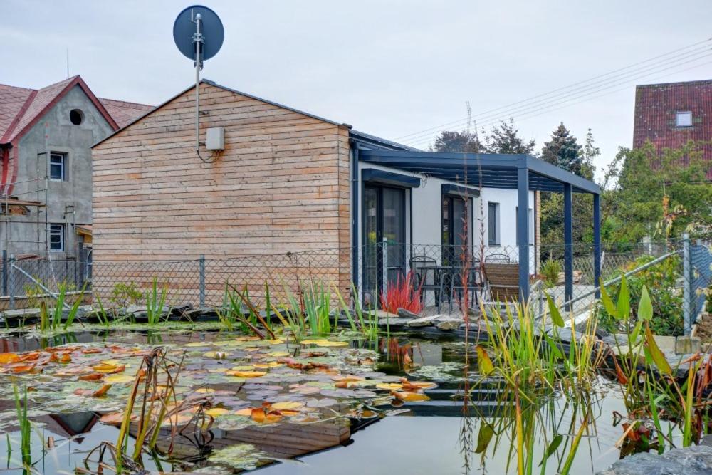 ein Haus mit einem Teich davor in der Unterkunft Domeček VALERIE in Velké Losiny