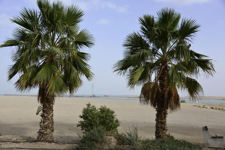 Φυσικό τοπίο κοντά σε αυτός ο ξενώνας