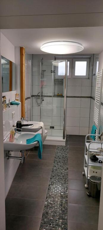 una camera ospedaliera con doccia e lavandino di Inselhof Usedom a Usedom Town