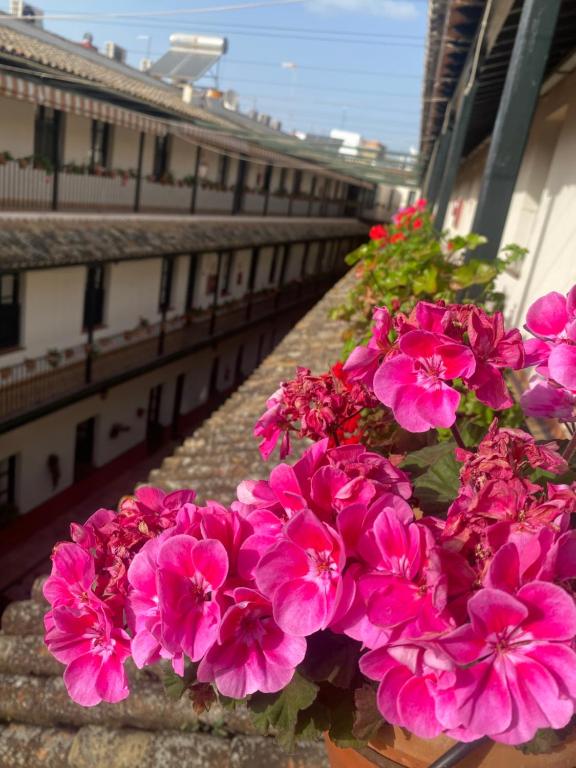 Balkón alebo terasa v ubytovaní Apartament Alameda center