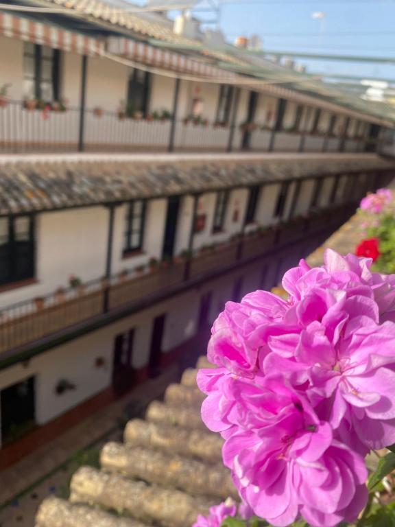 Balkón alebo terasa v ubytovaní Apartament Alameda center