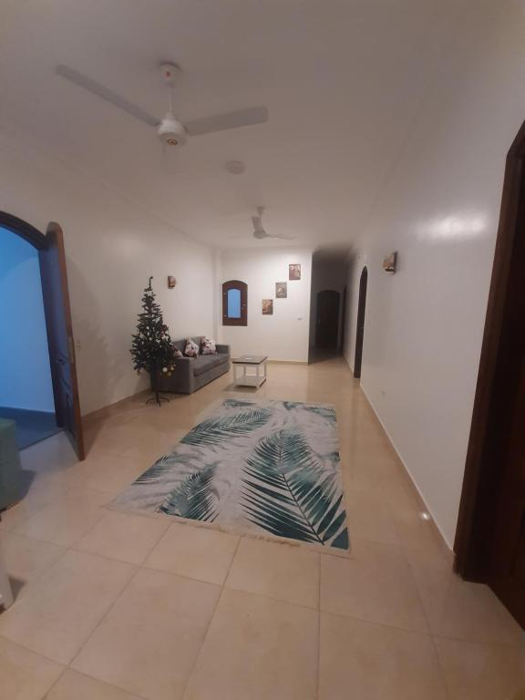 Blue Lotus, Luxor (updated prices 2024)