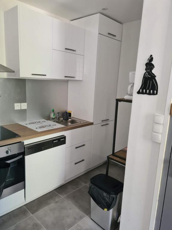 Kuchyňa alebo kuchynka v ubytovaní Mireio Arles centre climatisé 1 à 6 personnes Appartement