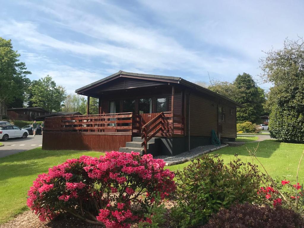 Bluebell Lodge 5 with Hot Tub في نيوتن ستيوارت: كابينة صغيرة بها زهور وردية في الفناء