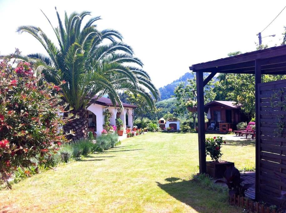 A garden outside Villa La Finca