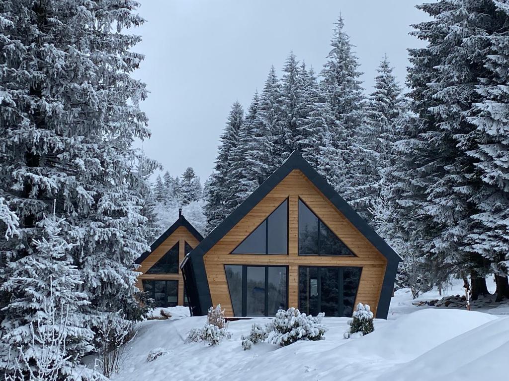 eine Hütte im Wald mit schneebedeckten Bäumen in der Unterkunft Horská chata Belveder in Železná Ruda