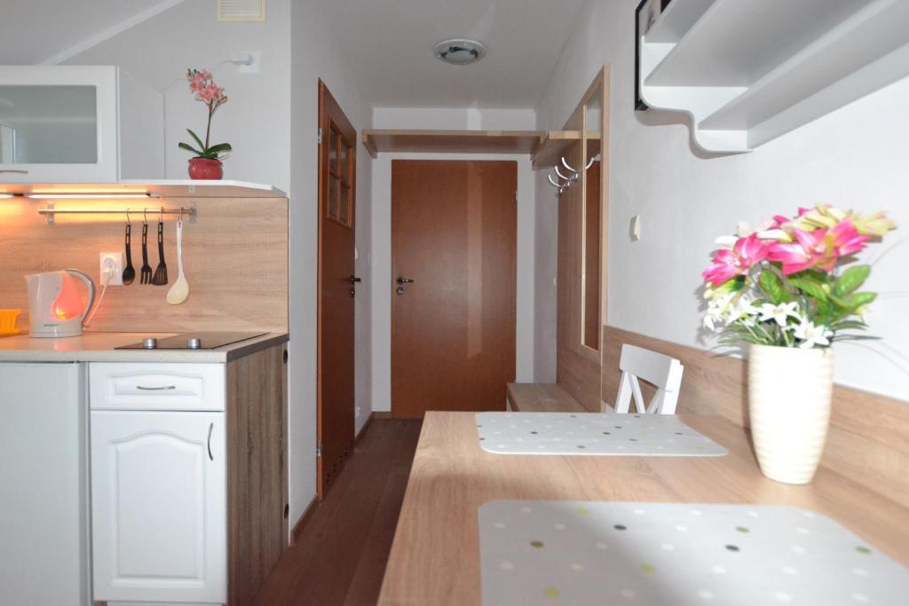 Kuchyňa alebo kuchynka v ubytovaní Słoneczne Apartamenty w Poddąbiu