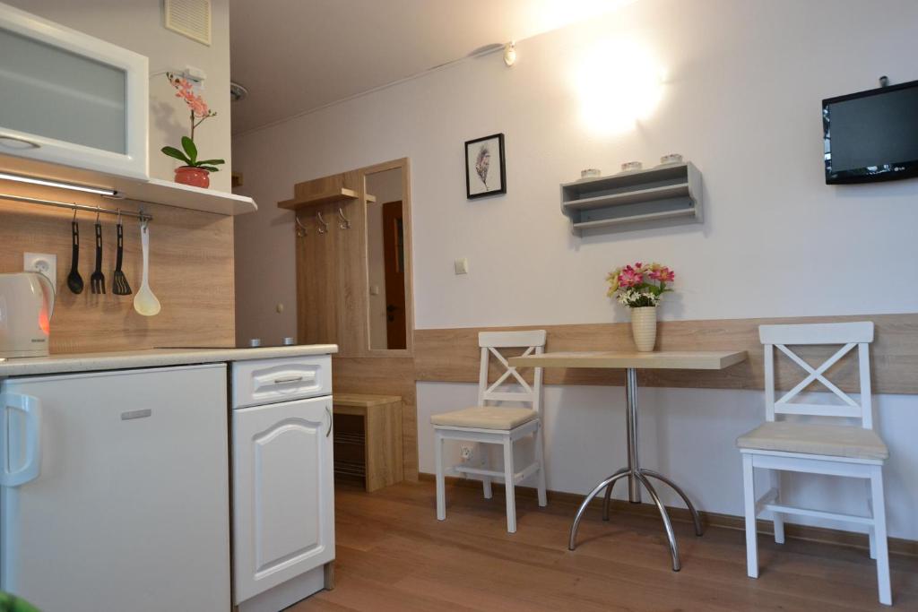 Kuchyňa alebo kuchynka v ubytovaní Słoneczne Apartamenty w Poddąbiu