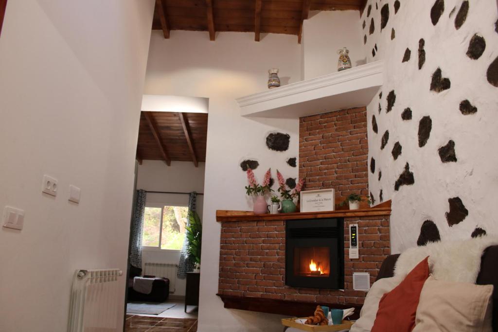 Fotografia z galérie ubytovania Finca El cole v destinácii Las Palmas de Gran Canaria