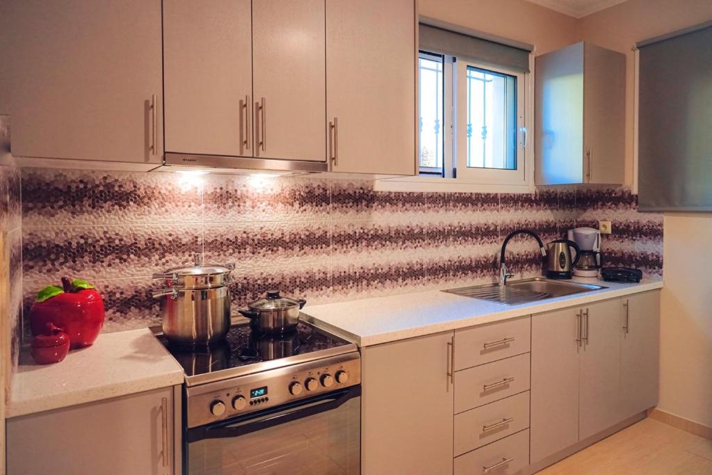 Kuchyň nebo kuchyňský kout v ubytování Phivos Home & Garden