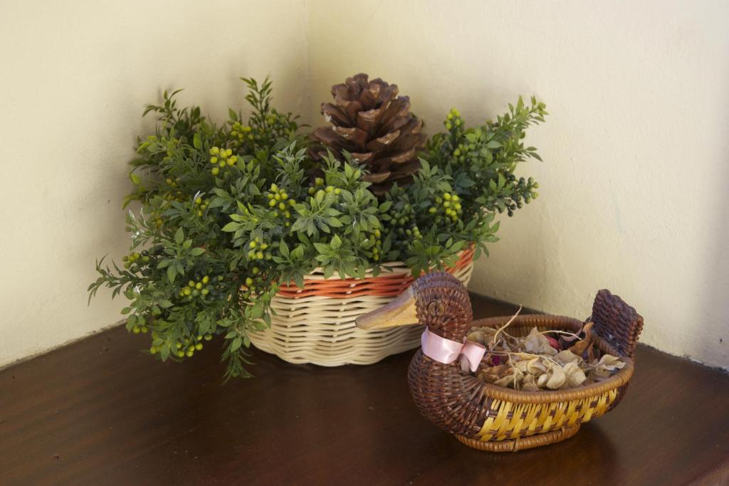Fotografie z fotogalerie ubytování Casa Rural Olga v destinaci El Paso