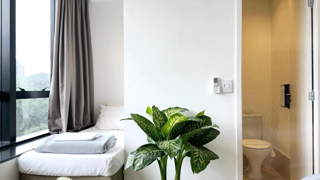 a room with two beds and a potted plant at Capsula Hotel Sao Paulo - Paulista in Sao Paulo