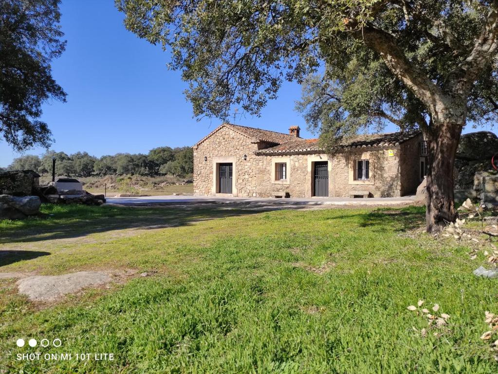 an old stone house in a field with a tree at Rucanon 2 La casa del campo 4 Estrellas, Piscina y Golf in Montánchez