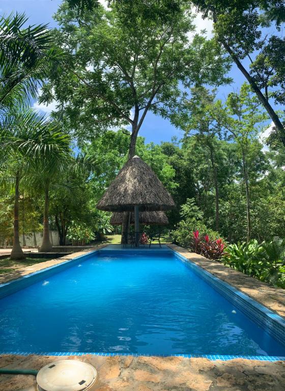 a swimming pool with a straw umbrella and trees at Cabañas Maya Rue in Palenque