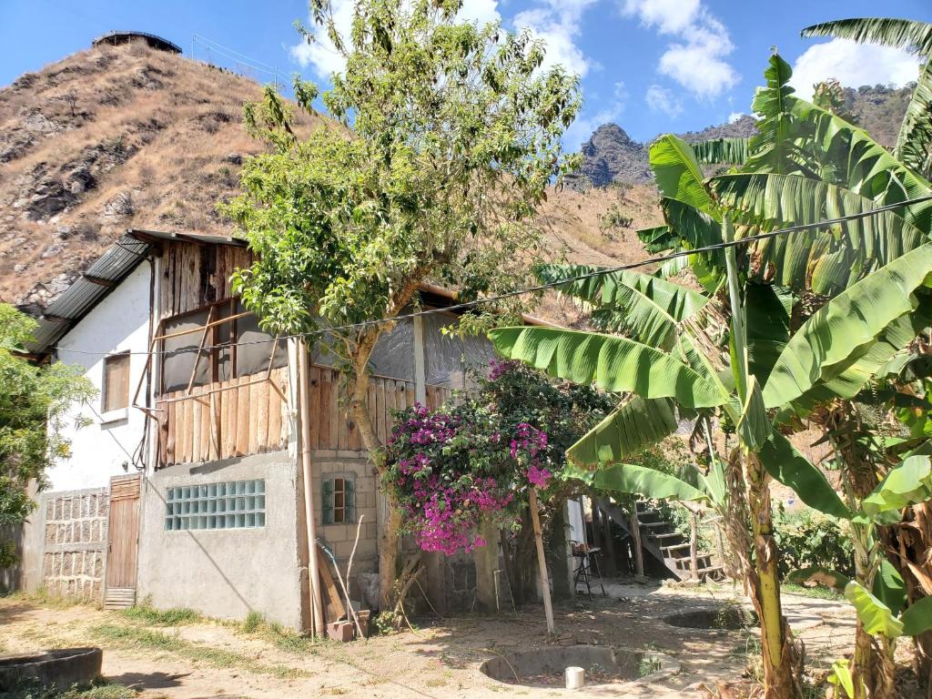 a house with a tree in front of a mountain at The Hub - Centro Sakbe in San Juan La Laguna