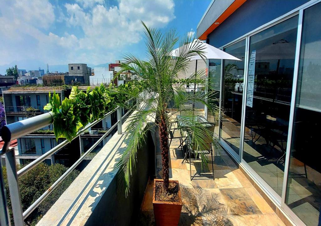 Hotel Boutique Dawat WTC photo