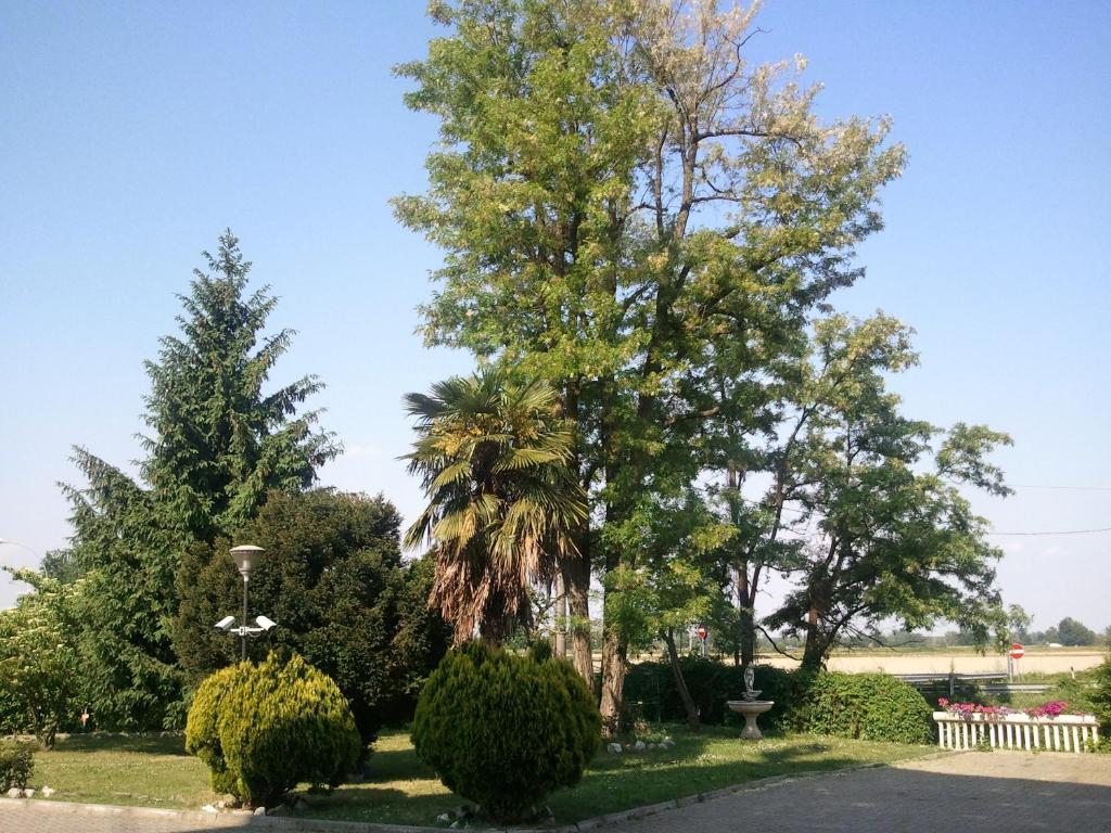 Zahrada ubytování Hotel Europa Milano