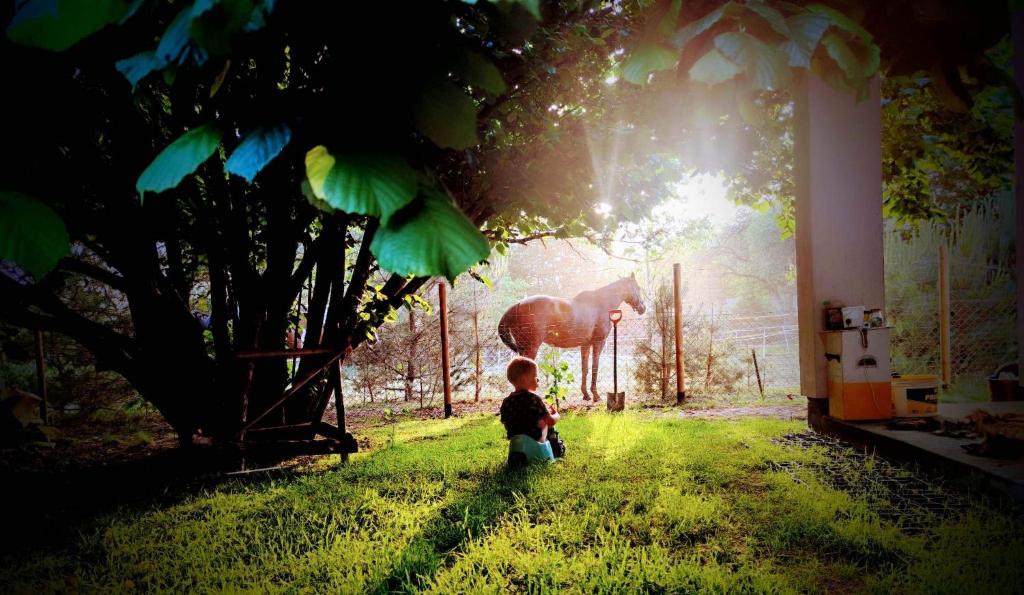 mały chłopiec siedzący na trawie przed koniem w obiekcie Domek nad stawem 