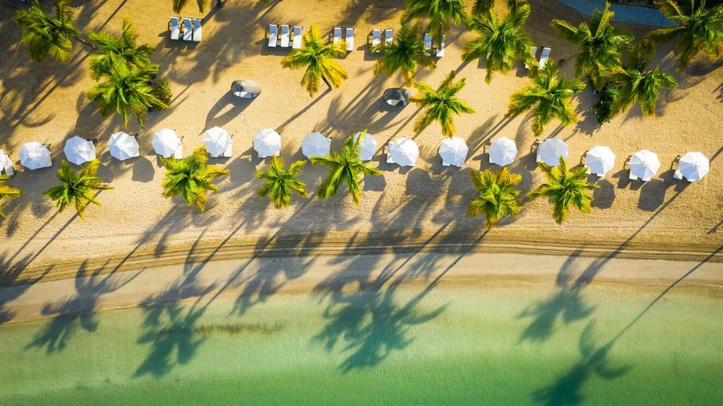 an aerial view of a beach with chairs and palm trees at Carlisle Bay in Old Road