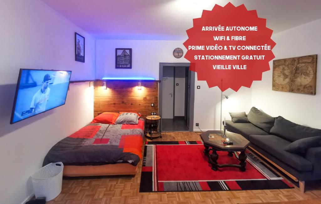 ein Wohnzimmer mit einem Bett und einem Flachbild-TV in der Unterkunft Un petit nid douillet ensolleillé à Bouxwiller centre in Bouxwiller