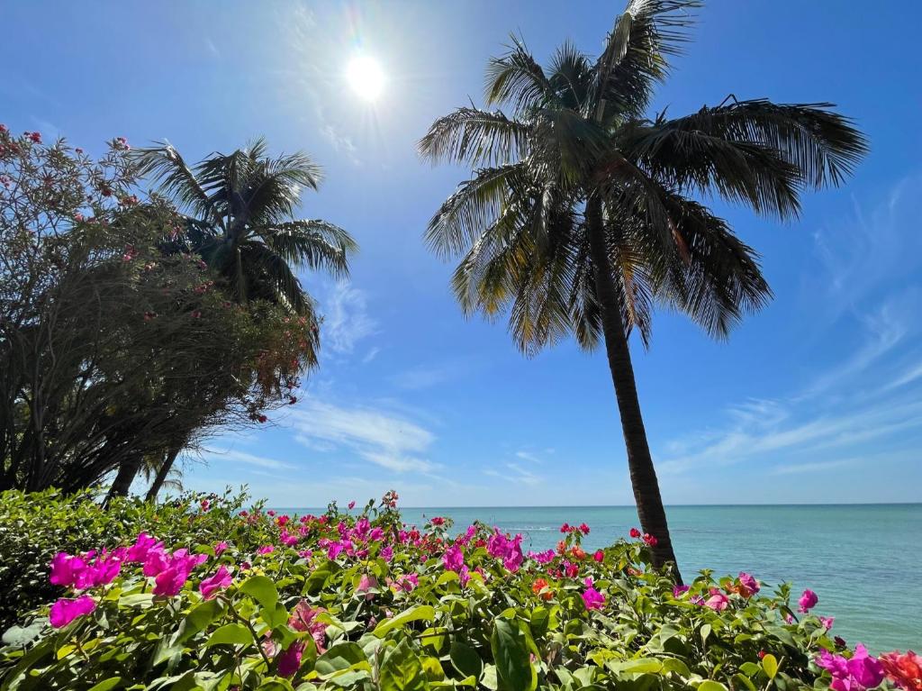 a palm tree and flowers on the beach at Keur RAMYBĖ in Sali Nianiaral
