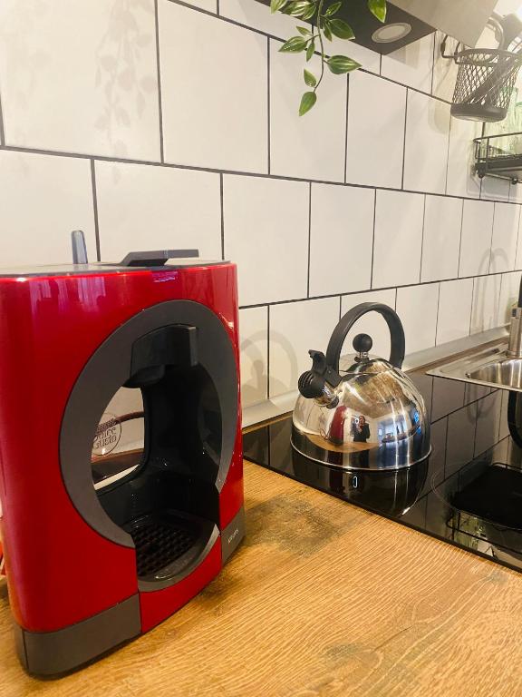 ElenaHost City Park Center 5 - 18