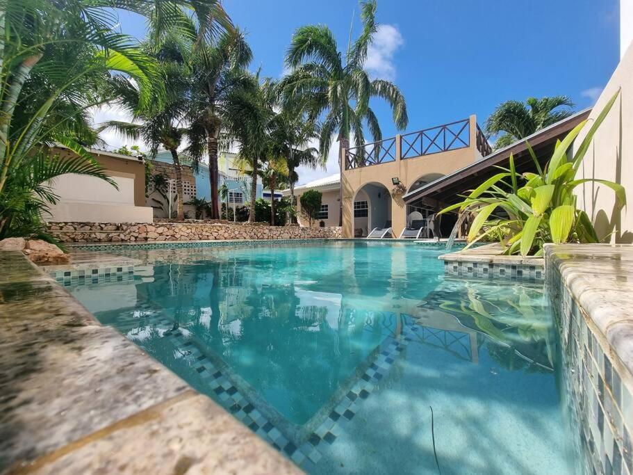 a swimming pool with palm trees and a house at Villa Hye in Willemstad