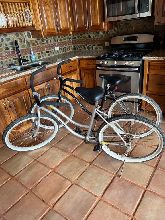 Schwinn Jaguar Cruiser: The Ultimate Beach Lifestyle Companion