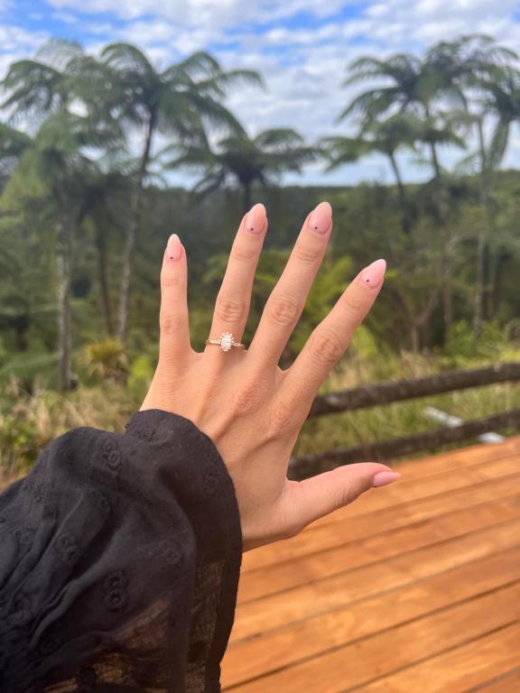 Pukeko Lane - Resim 13