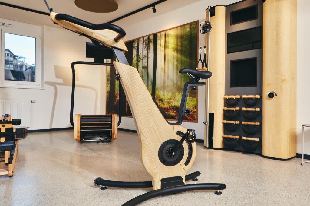 Fitness centrum a/nebo fitness zařízení v ubytování HOMEBOUND APARTMENTS Bad Goisern - contactless check-in