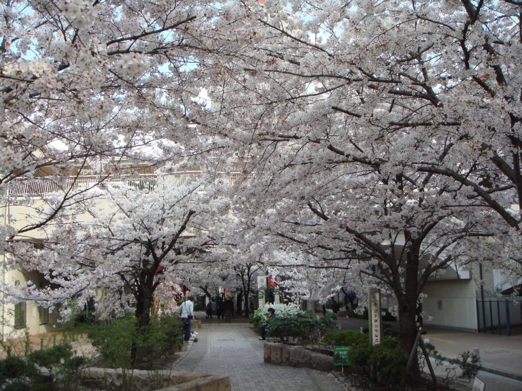 Fotografie z fotogalerie ubytování Hotel Wakamizu v destinaci Takarazuka