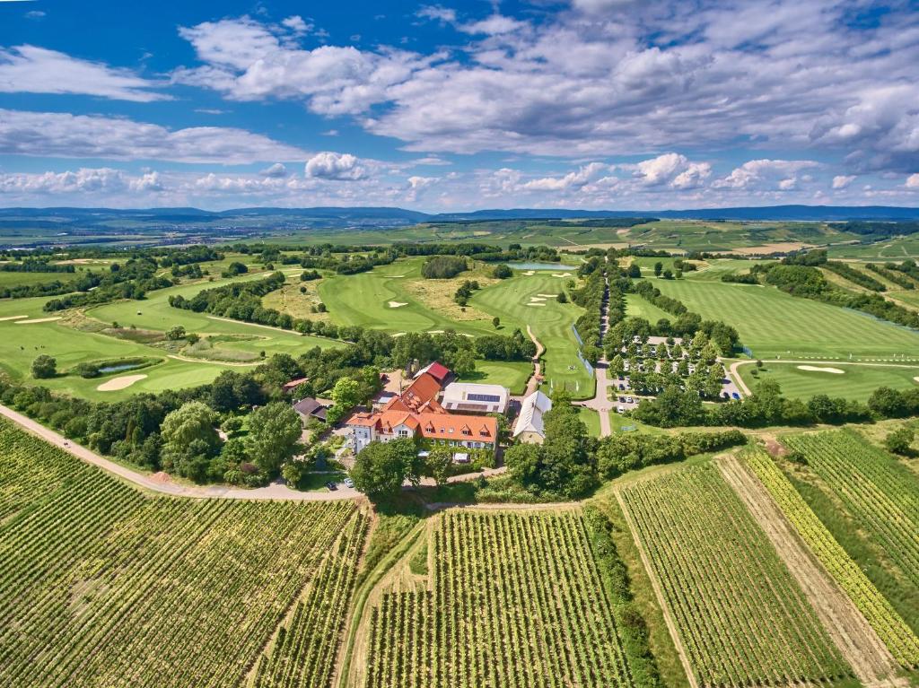 een luchtzicht op een huis in een wijngaard bij Hofgut Wißberg - Das Weinberghotel in Sankt Johann