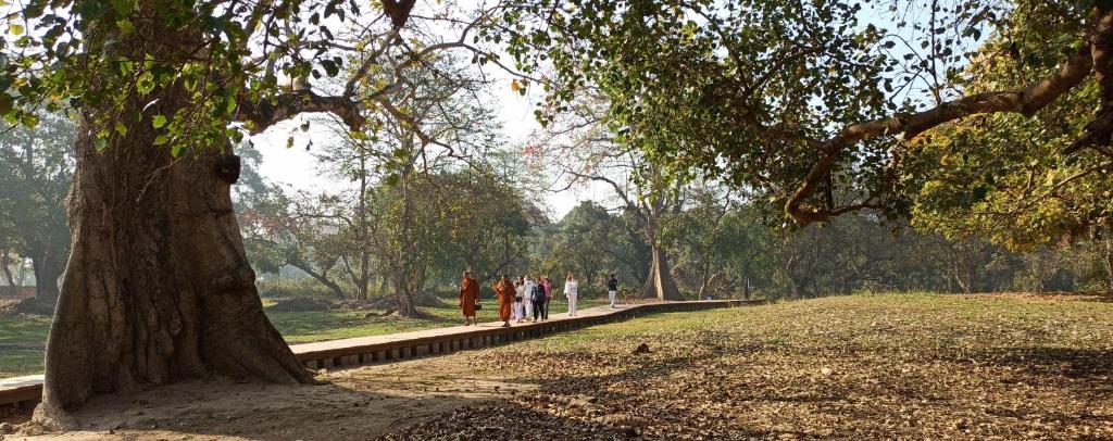 The Lumbini Village Lodge photo