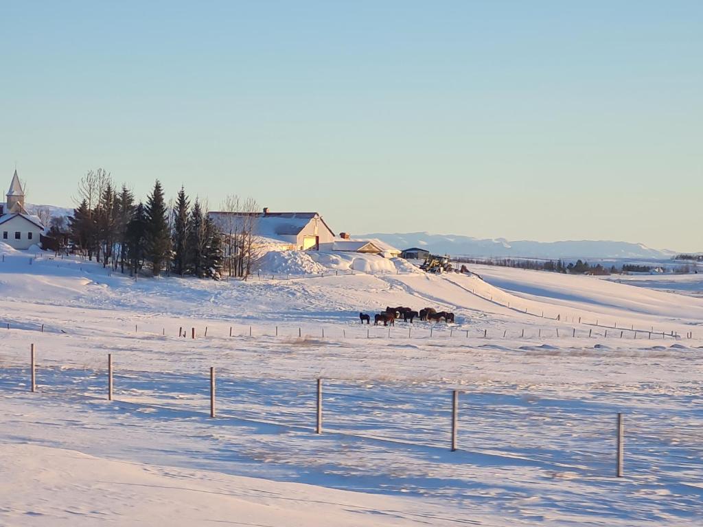 MB Guesthouse að vetri til