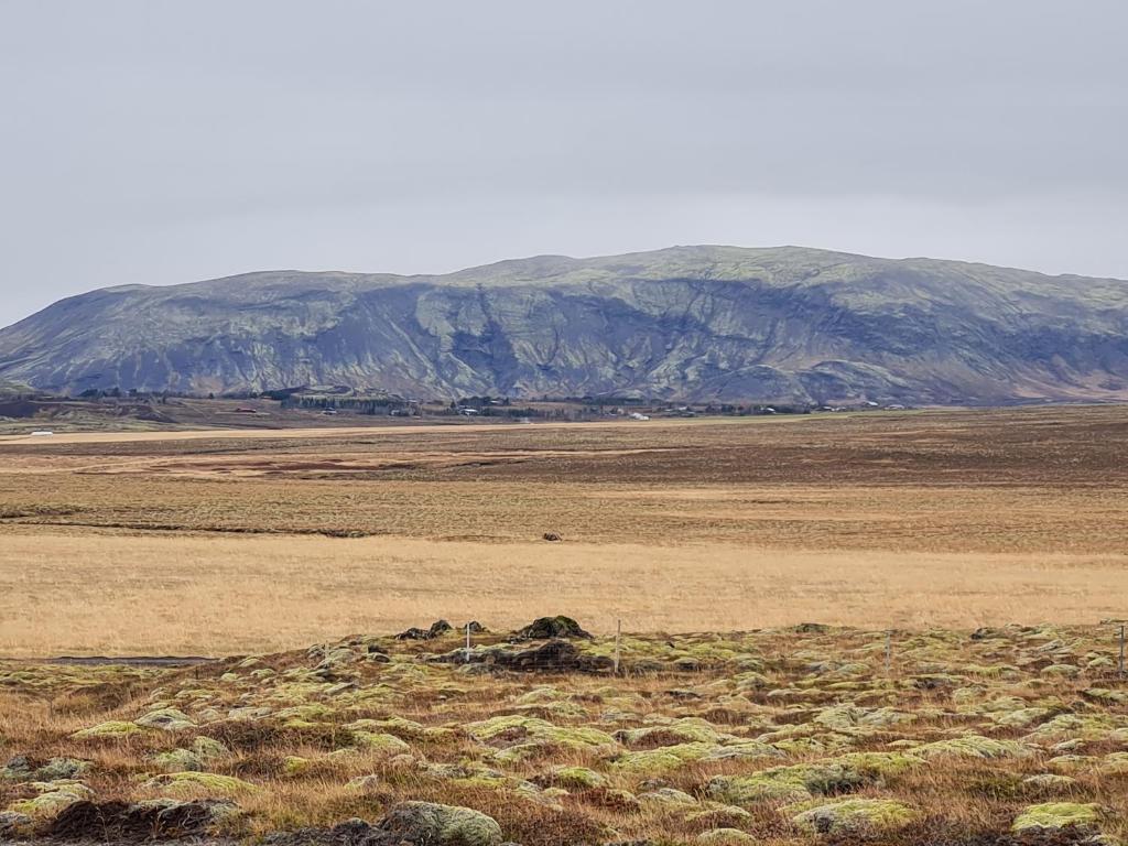 Náttúran í nágrenni gistihússins