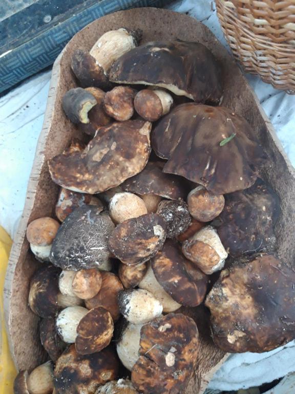 Derechos de imagen reservados por Booking.com