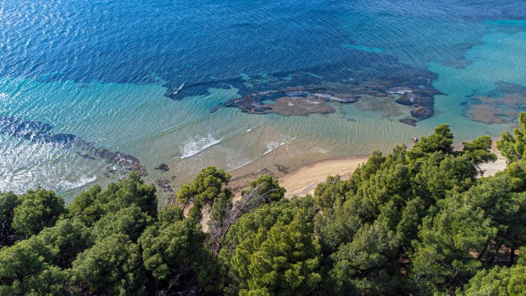 an aerial view of a beach and the ocean at Xelidonia Apartments by RentalsPro - Nikiti Halkidiki in Metamorfosi