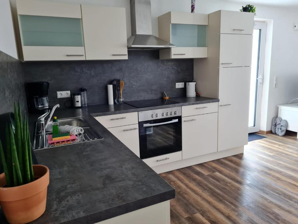 Kuchyň nebo kuchyňský kout v ubytování Ferienwohnung Allgäu