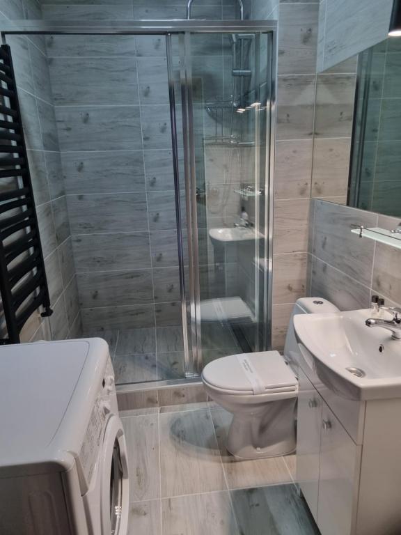 Kúpeľňa v ubytovaní Willa "Aparthause" E-Apartamenty