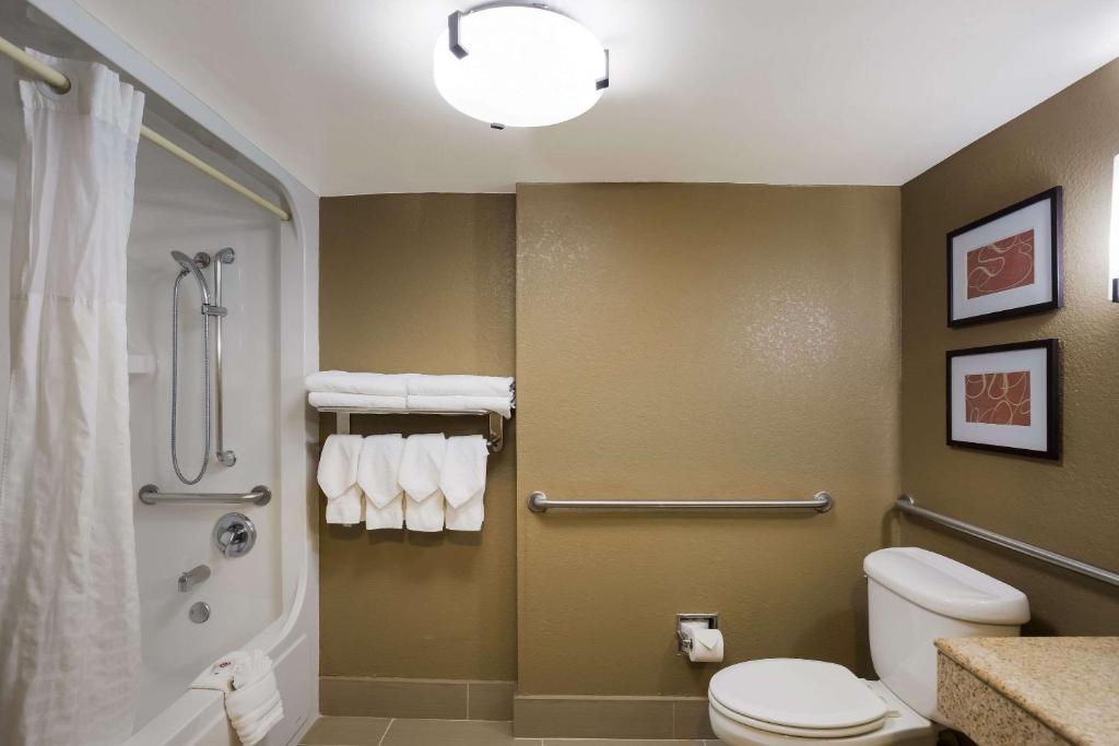 Comfort Suites Near University photo