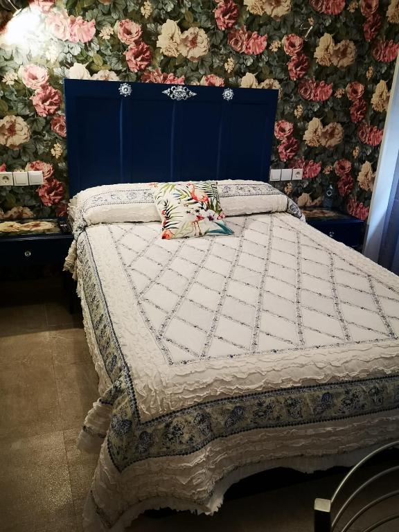 hospedaje barahona21 - 12