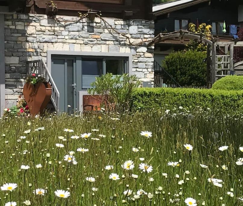 a field of flowers in front of a house at Klein aber fein im Herzen des Pinzgau in Piesendorf