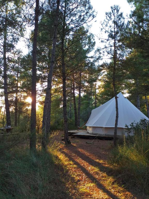 Příroda nedaleko luxury tent