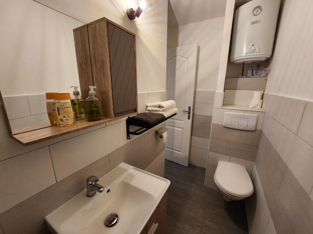 a small bathroom with a sink and a toilet at Studio calme rdc coté cours in Bar-le-Duc