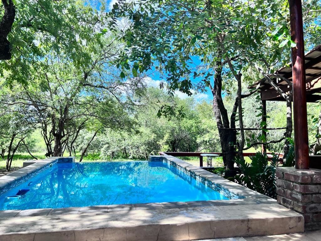 una piscina blu con alberi sullo sfondo di Turaco Lodge - No Loadshedding a Marloth Park