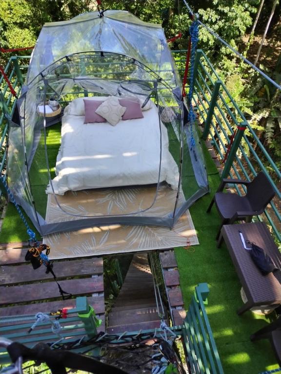 Zahrada ubytování Hotel Boutique The Green Jungle House