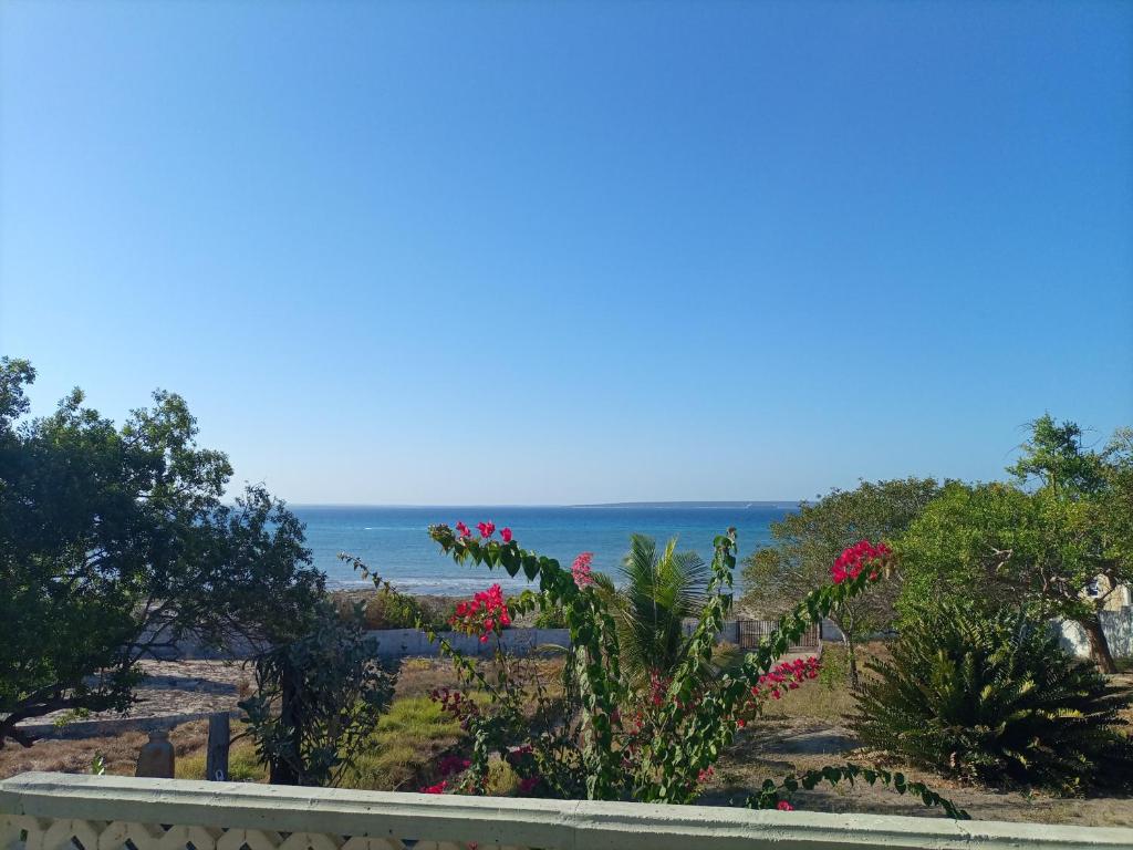 a view of the ocean from a garden with pink flowers at Sea and sun in Cidade de Nacala