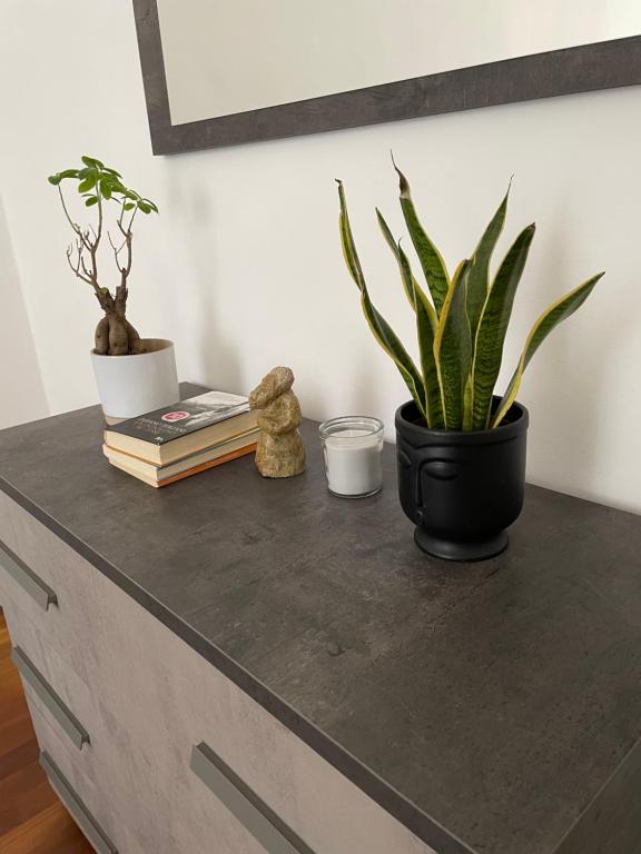 Casa dei Visionari - 1